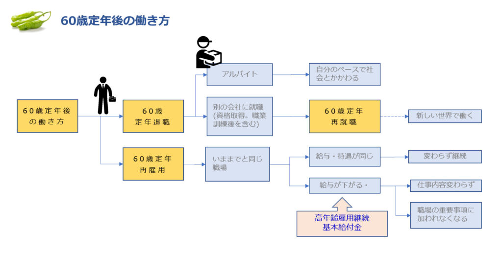 60歳定年退職後の働き方で、再雇用、再就職、アルバイトの選択をした場合の簡単な説明をするフロー図